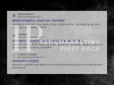 구글 SEO 포트폴리오 1
